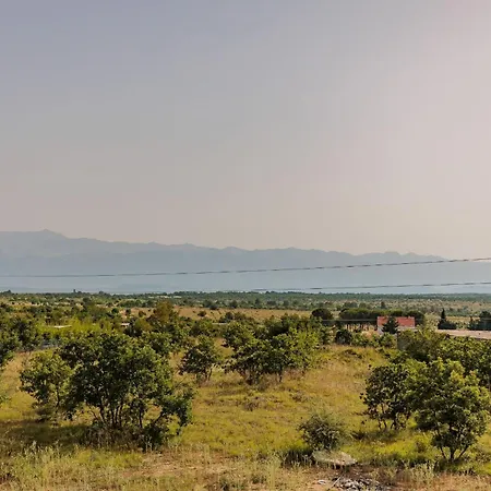 Villa Vera